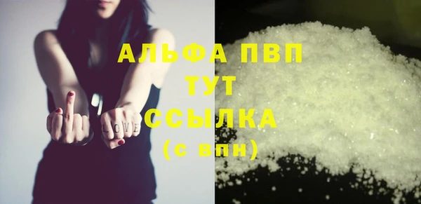 ПСИЛОЦИБИНОВЫЕ ГРИБЫ Болотное