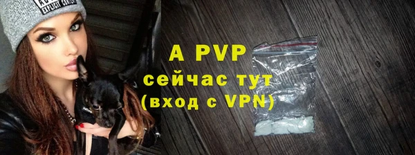 крисы Нея