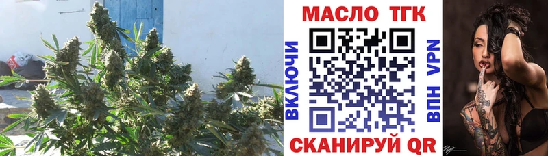 ТГК вейп  где найти наркотики  Колпашево 