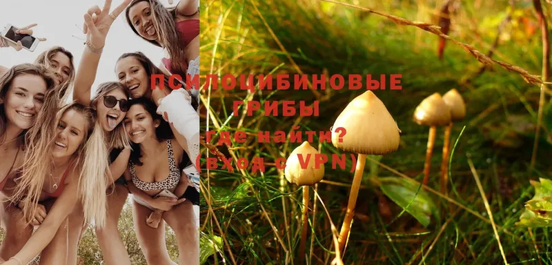 Псилоцибиновые грибы MAGIC MUSHROOMS  Колпашево 